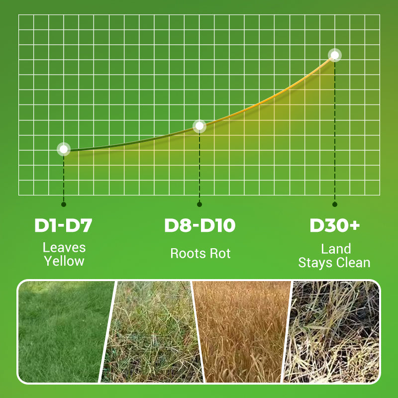 🔥Powerful Concentrated Herbicide🔥