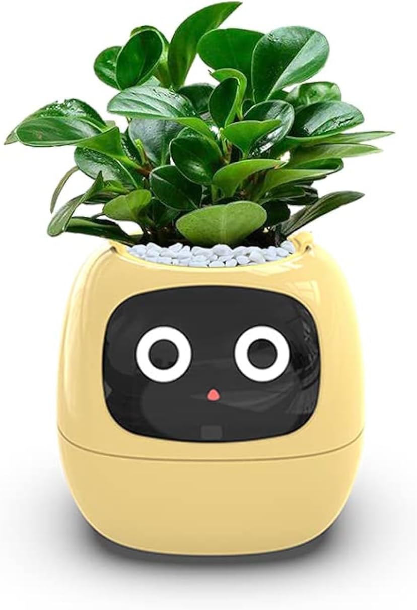 Plant pet robot smart flower pot