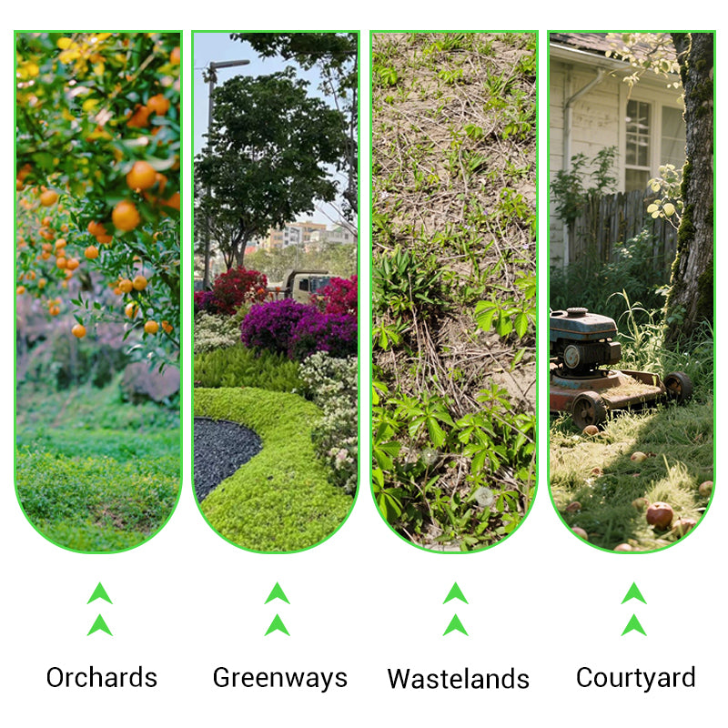 🔥Powerful Concentrated Herbicide🔥