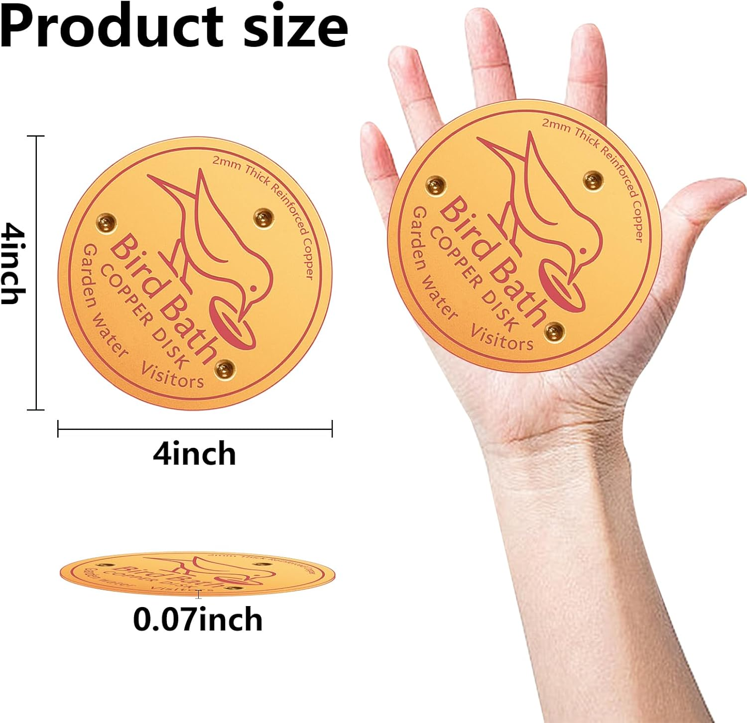 Bird Bath Copper Disk