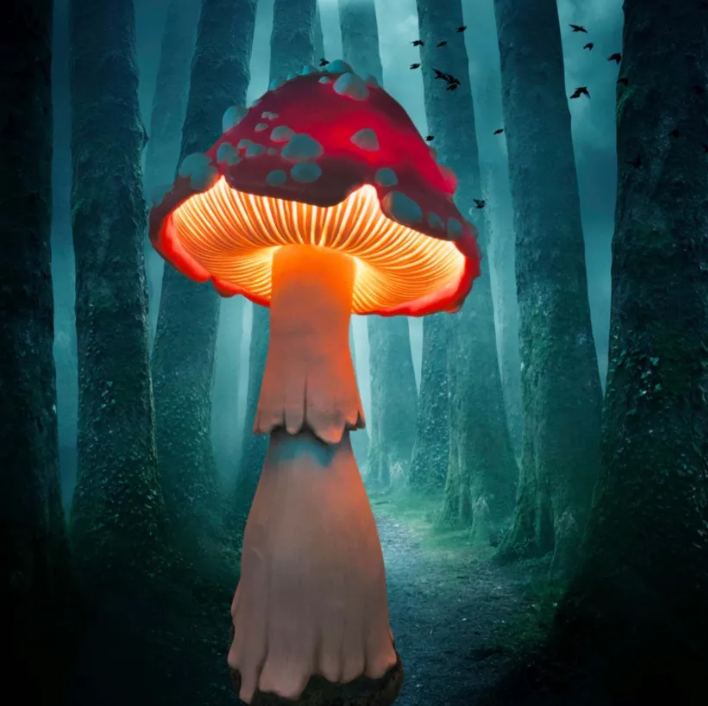 Enchanted Toadstool Luminaires 🍄💡