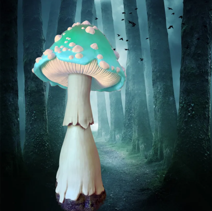 Enchanted Toadstool Luminaires 🍄💡