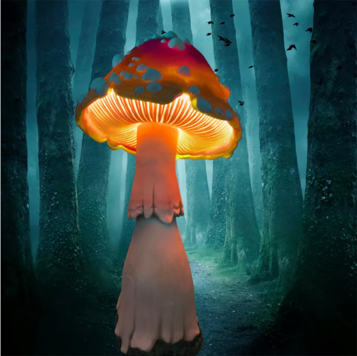 Enchanted Toadstool Luminaires 🍄💡