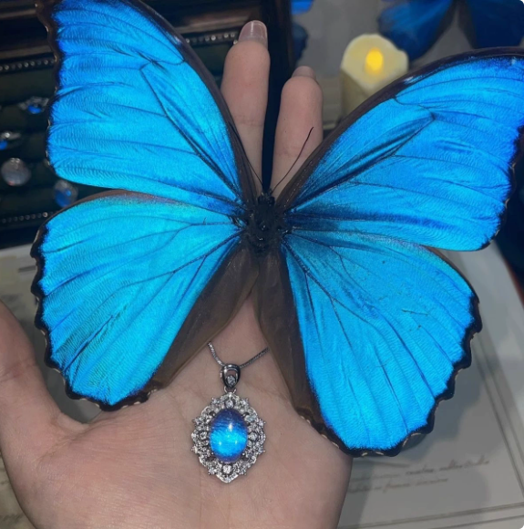 Butterfly Blue: The Luminous Heirloom Pendant 🦋💎