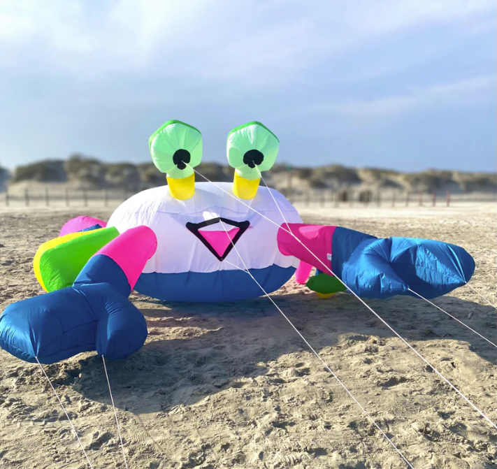 🦀 Handcrafted Limited-Edition Crab Kite | Only 2 Pieces Per Design In Stock 🪁