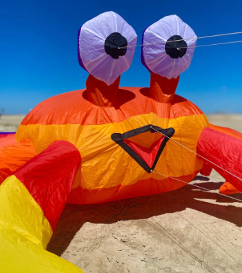 🦀 Handcrafted Limited-Edition Crab Kite | Only 2 Pieces Per Design In Stock 🪁