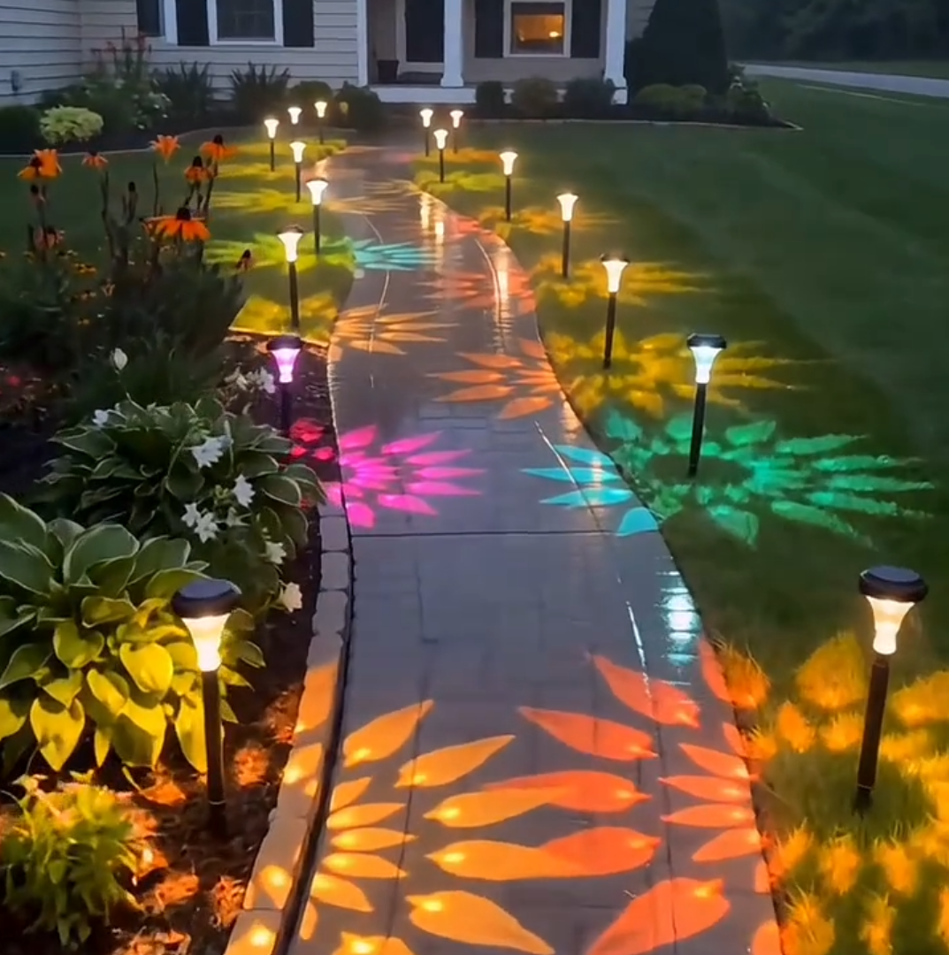 Solar Lights Outdoor