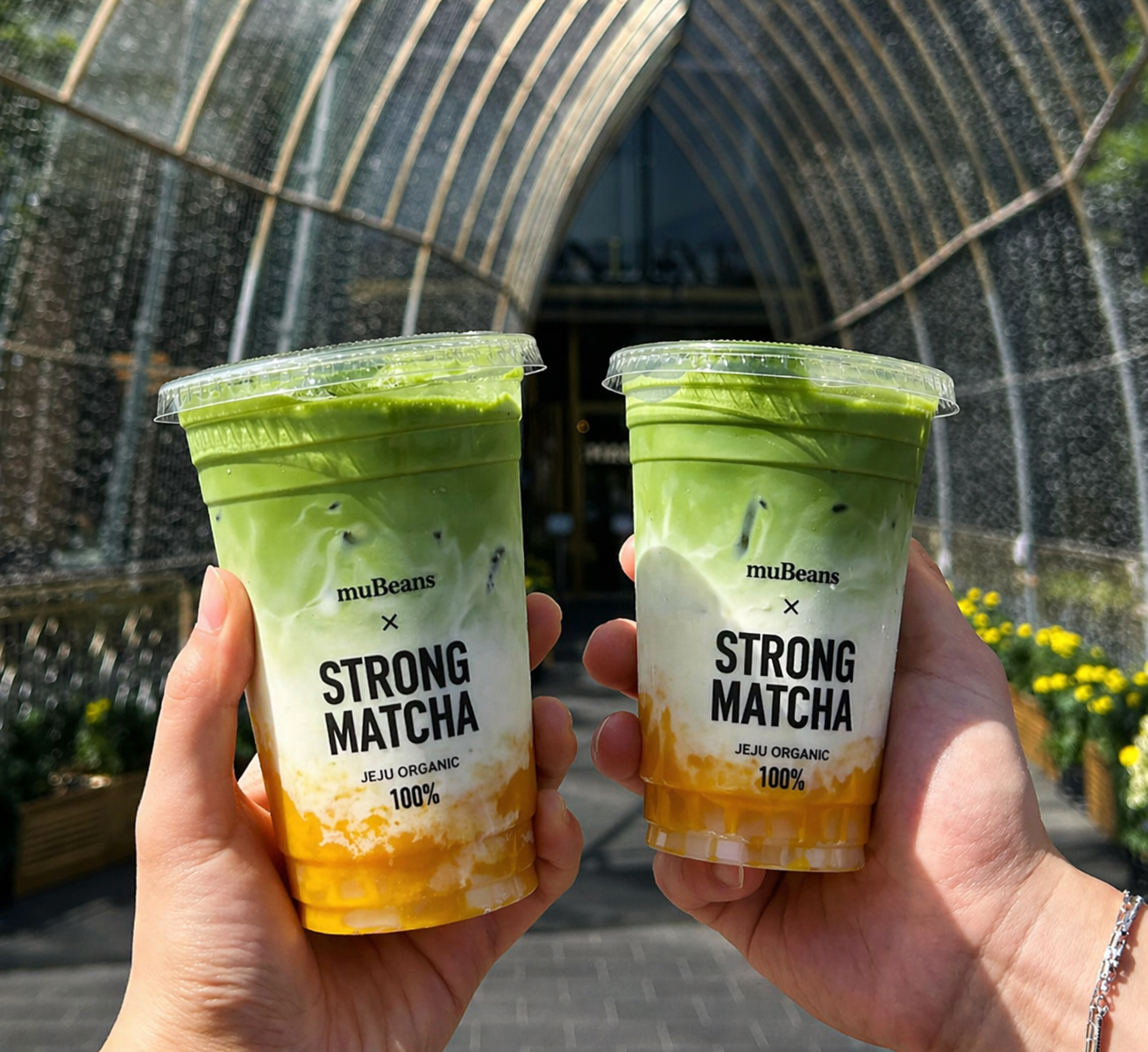 muBeans Strong Matcha powder