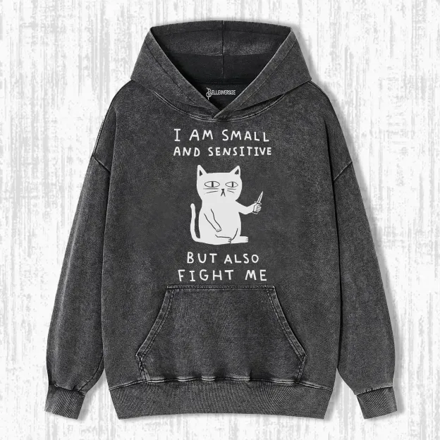 CAT - I AM SMALL AND SENSITIVE BUT ALSO FIGHT ME HOODIE