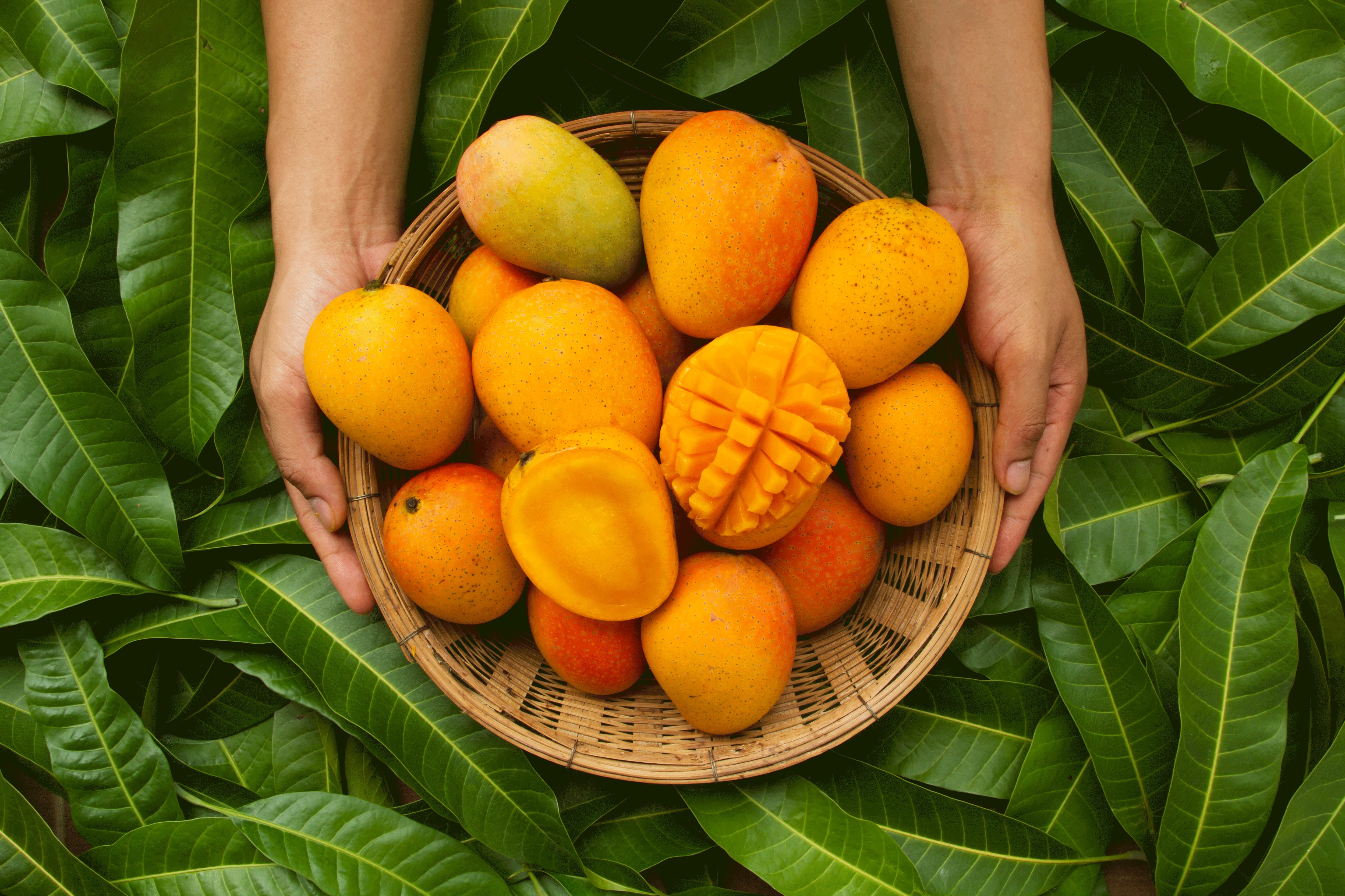 Mango Breeze Refreshing Eye Serum
