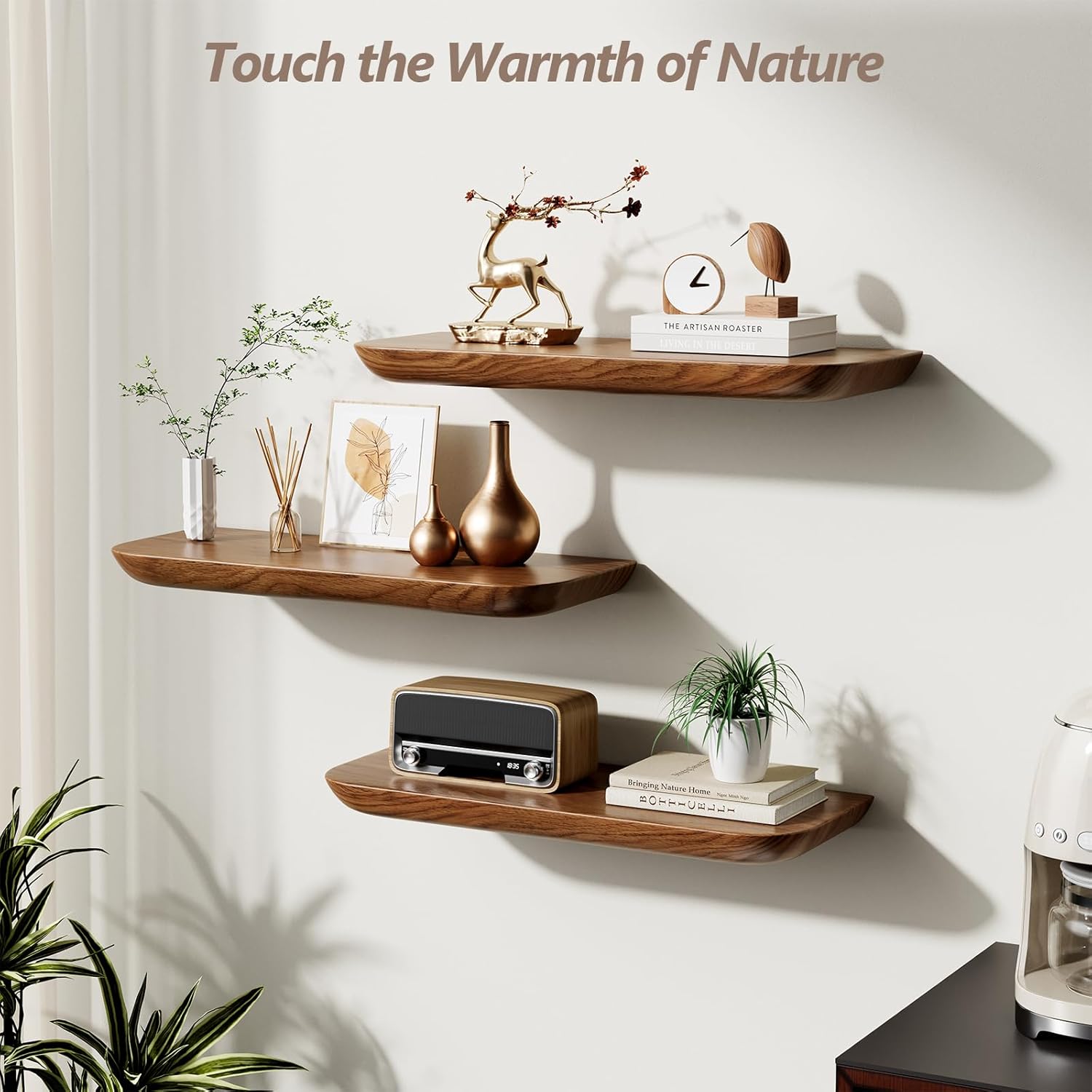 Solid Walnut Floating Shelves for Wall 16.5 Inch Set of 2
