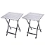Folding Camping Table - Lightweight Aluminum Portable Picnic Table, 18.5x18.5x24.5 Inch for Cooking, Beach, Hiking, Travel, Fishing, BBQ, Indoor Outdoor Small Foldable Camp Tables