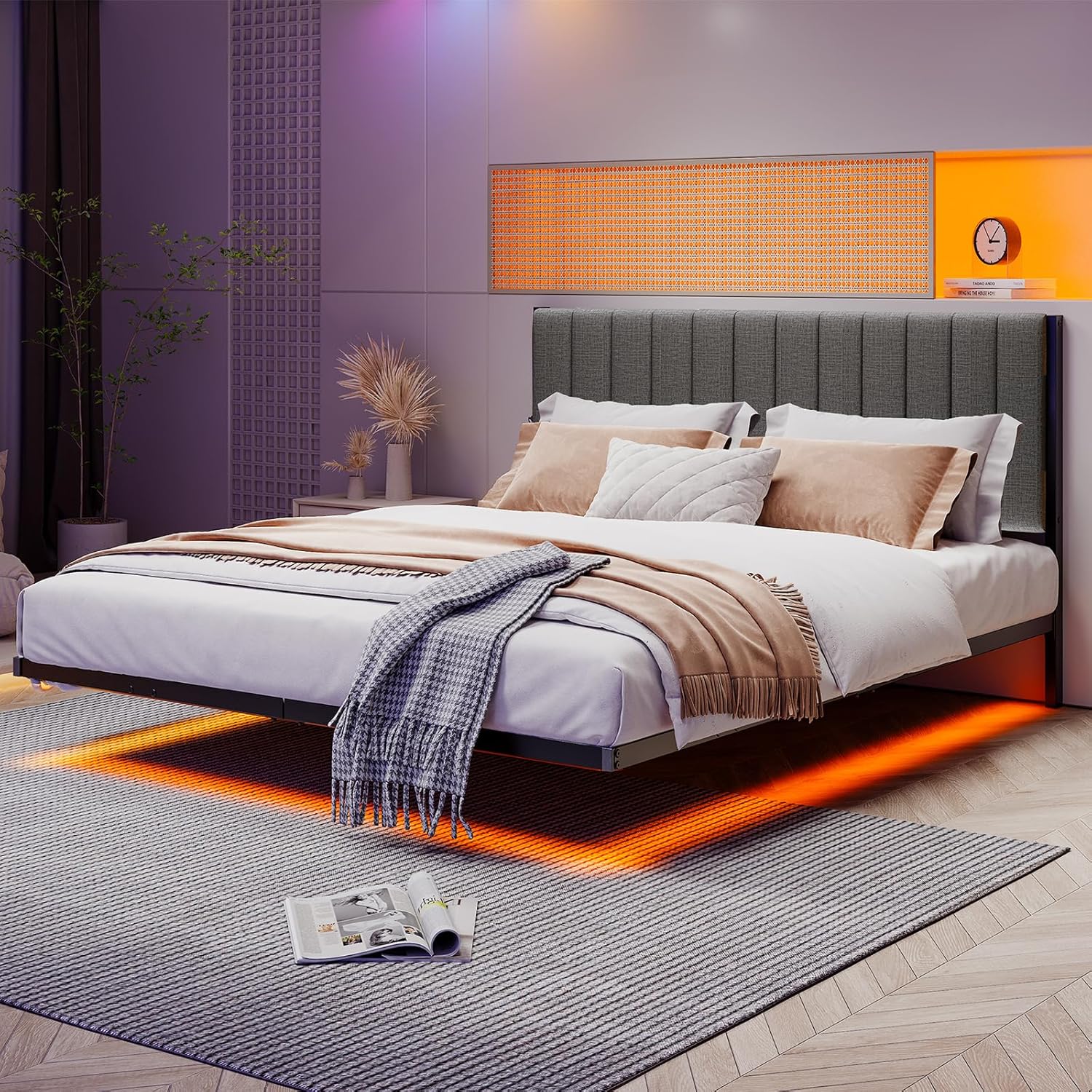 Modern Metal Platform Floating Queen Bed Frame