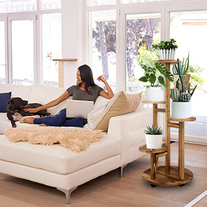 corner plant stand for indoor plants