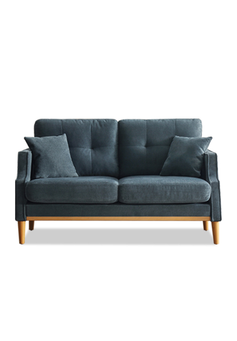 Fabric Loveseat Sofa