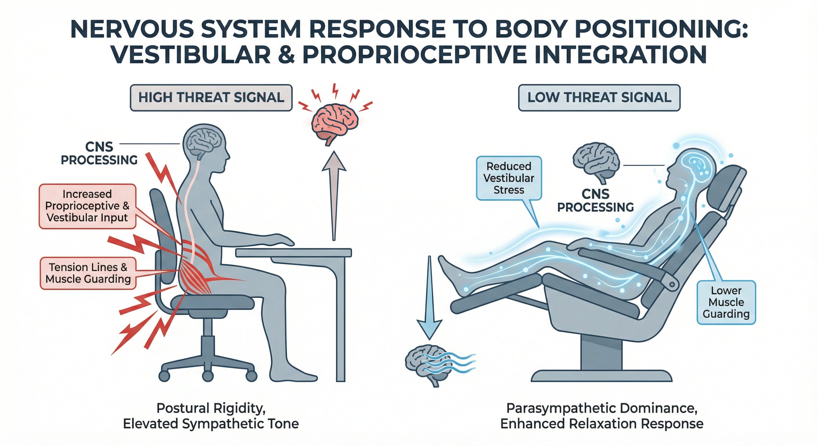 Nervous system diagram showing threat vs safety