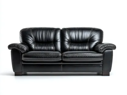 Canapé 2 places en cuir 170x90x85 cm - noir - style classique-Pinegetyard