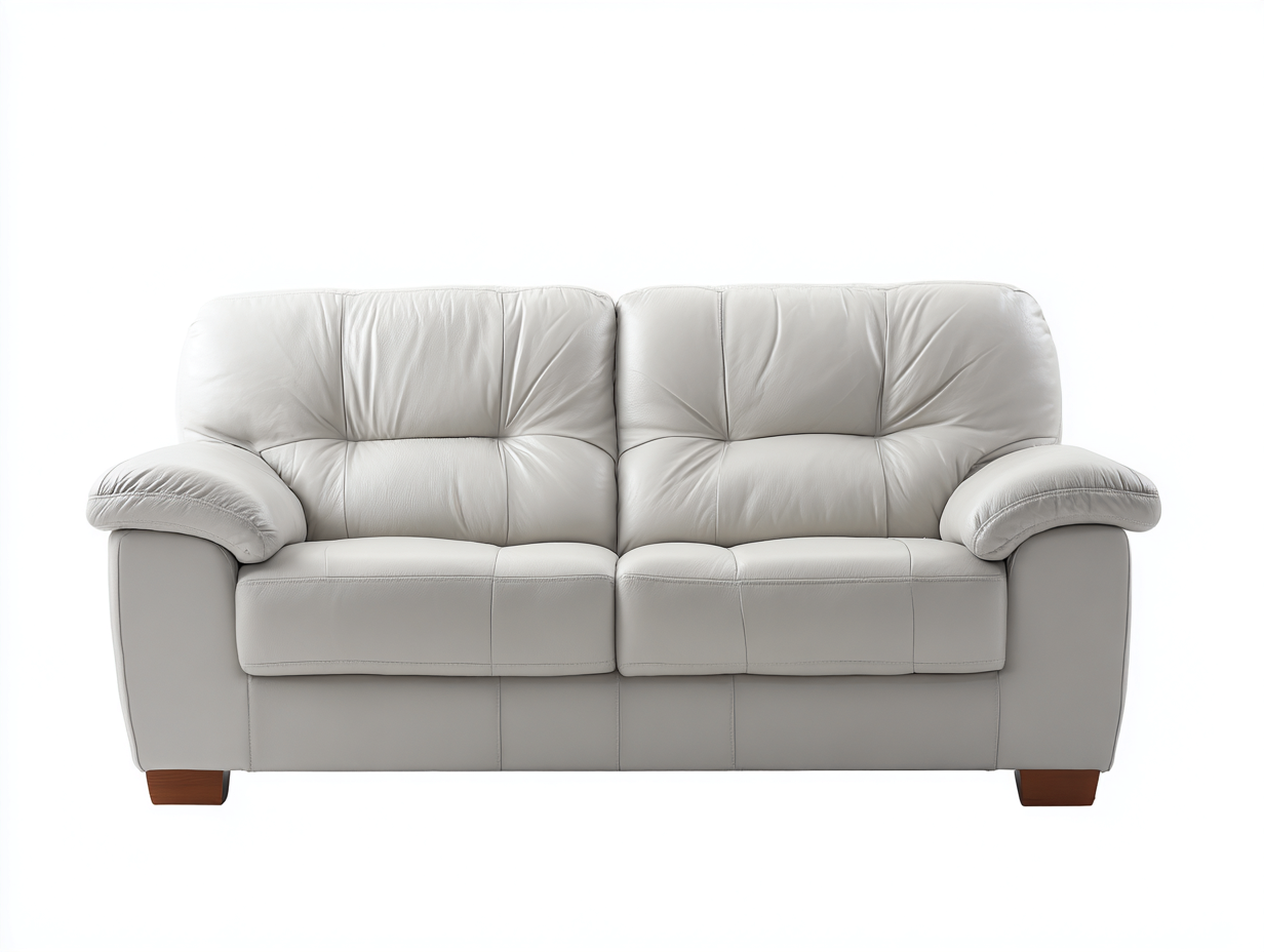 Canapé 2 places en cuir 160x90x85 cm - blanc - style classique-Pinegetyard