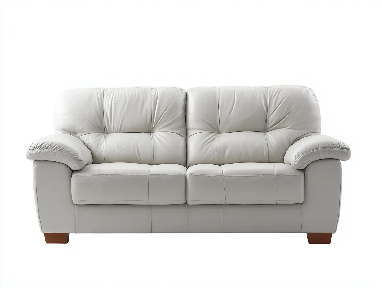 Canapé 2 places en cuir 160x90x85 cm - blanc - style classique-Pinegetyard