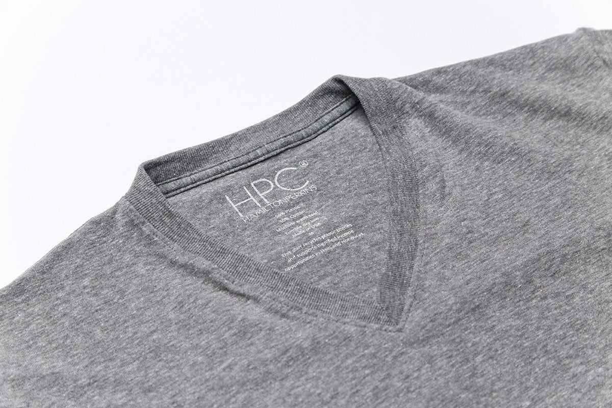 Earth V-Neck T-Shirt, Gray - Hamilton Perkins Collection