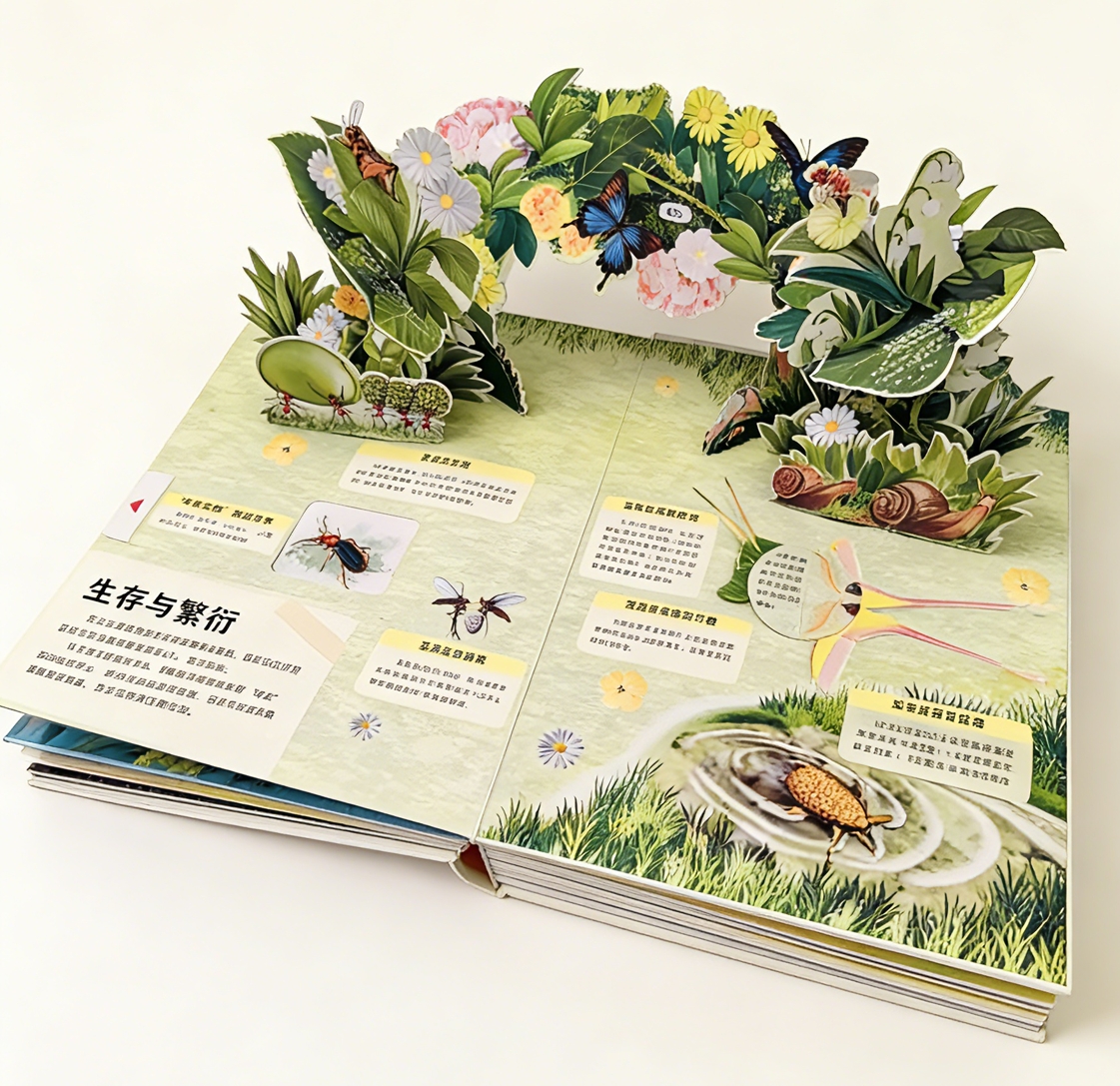 Multi-Structure Paper Engineering Book Printing