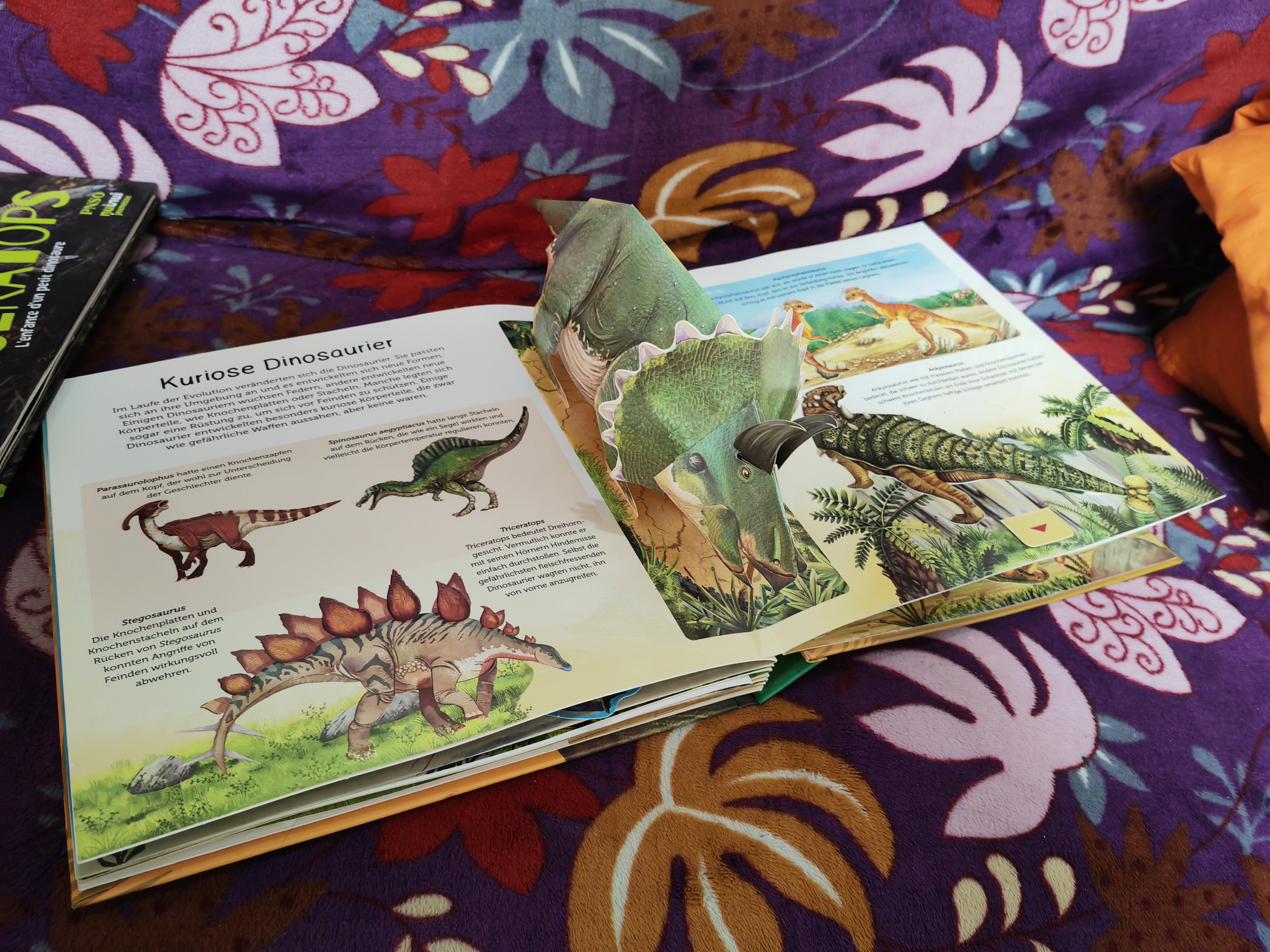 Educational Dinosaur Lift The Flap Book