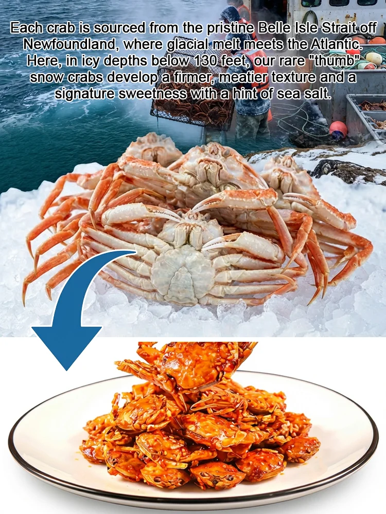 Spicy Sea Crab Snacks - High in Protein, Low in Sodium