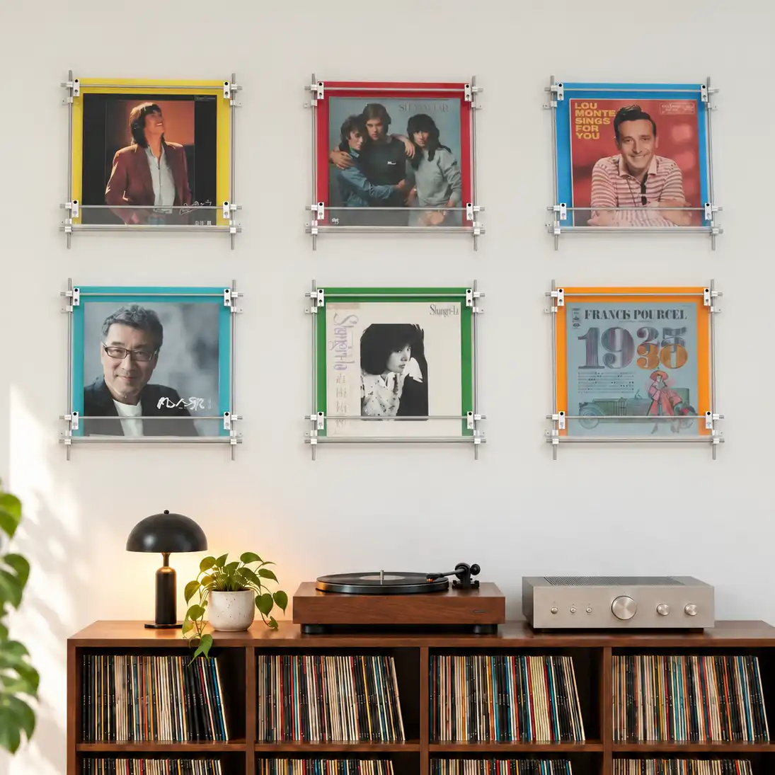 Vinyl Record Wall Display