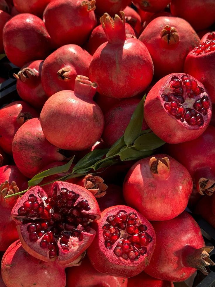 🔴La grenade — Un fruit vieux de 5 000 ans rempli de rubis