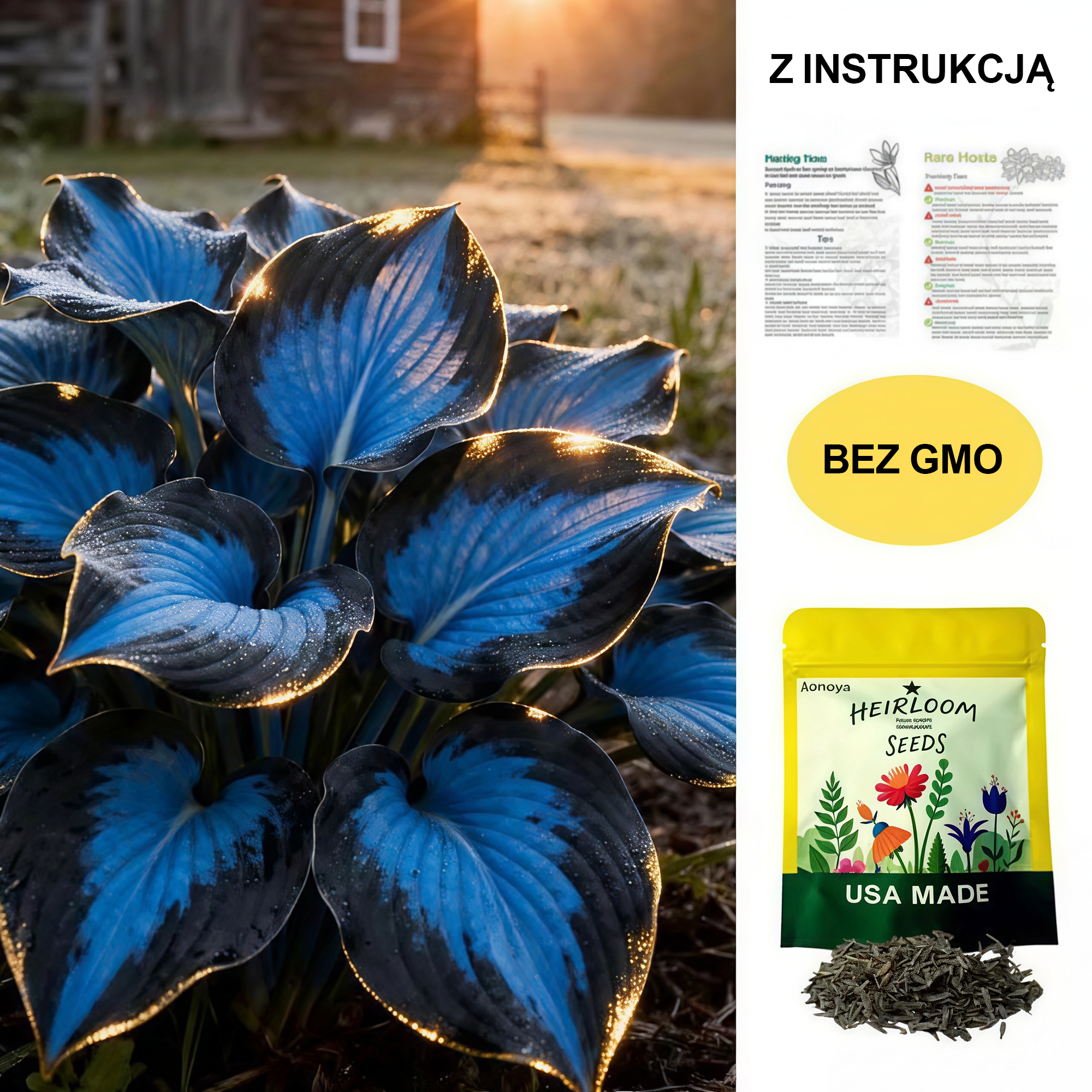 🔥 Rzadkie nasiona hosty (jakość premium) 🌿 Roślina tolerująca cień