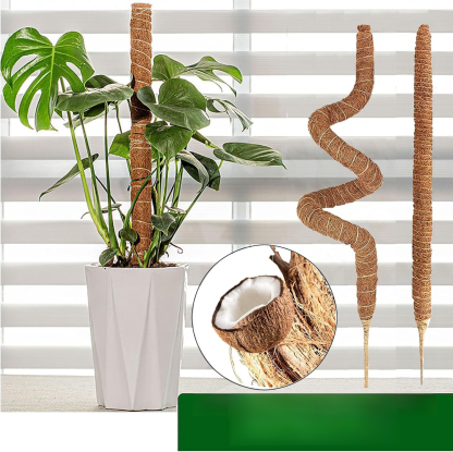 Garten-Pflanzen-Kletter- und Formgestell