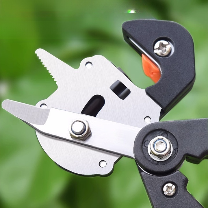 Obstbaum-Schnittwerkzeug