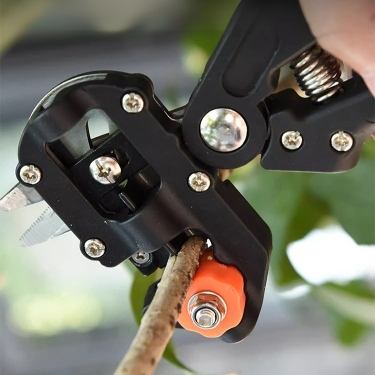 Obstbaum-Schnittwerkzeug