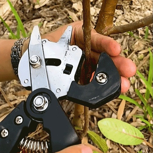 Obstbaum-Schnittwerkzeug