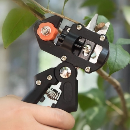 Obstbaum-Schnittwerkzeug