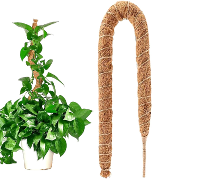 Garten-Pflanzen-Kletter- und Formgestell