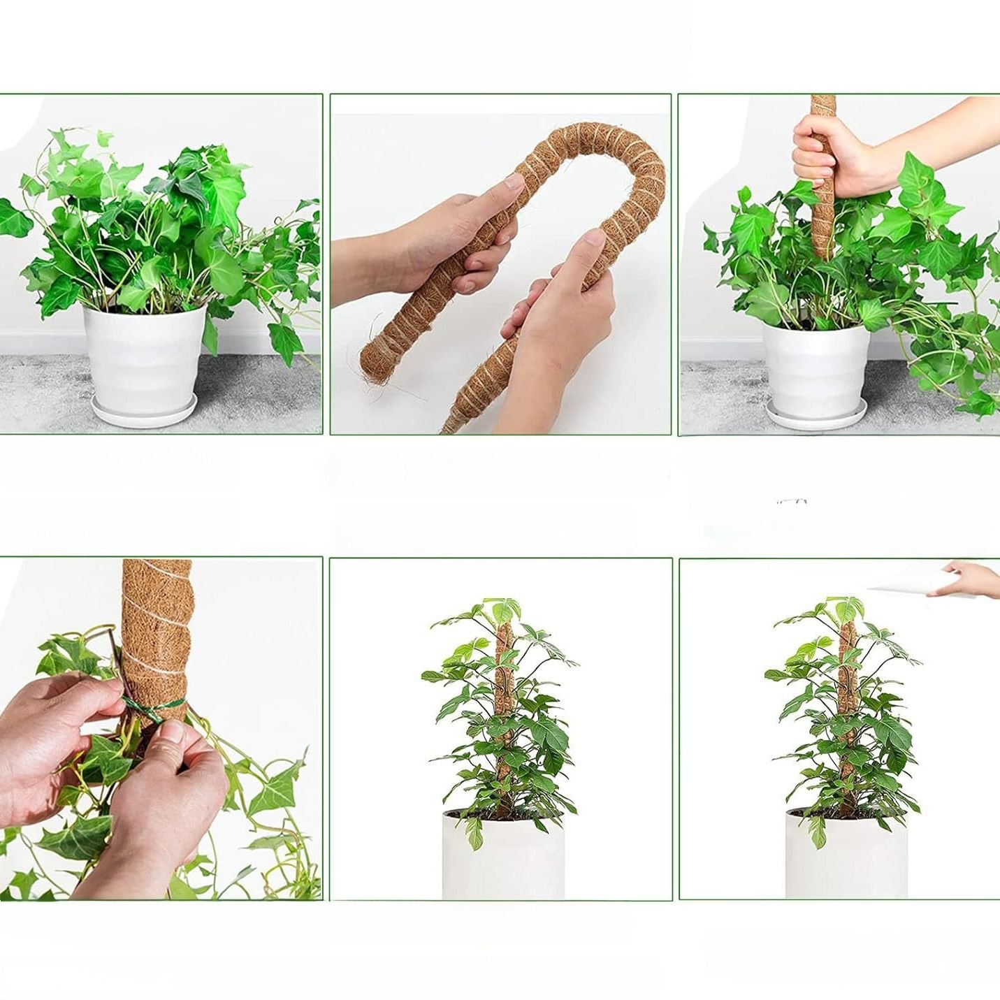 Garten-Pflanzen-Kletter- und Formgestell