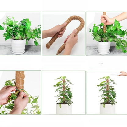 Garten-Pflanzen-Kletter- und Formgestell