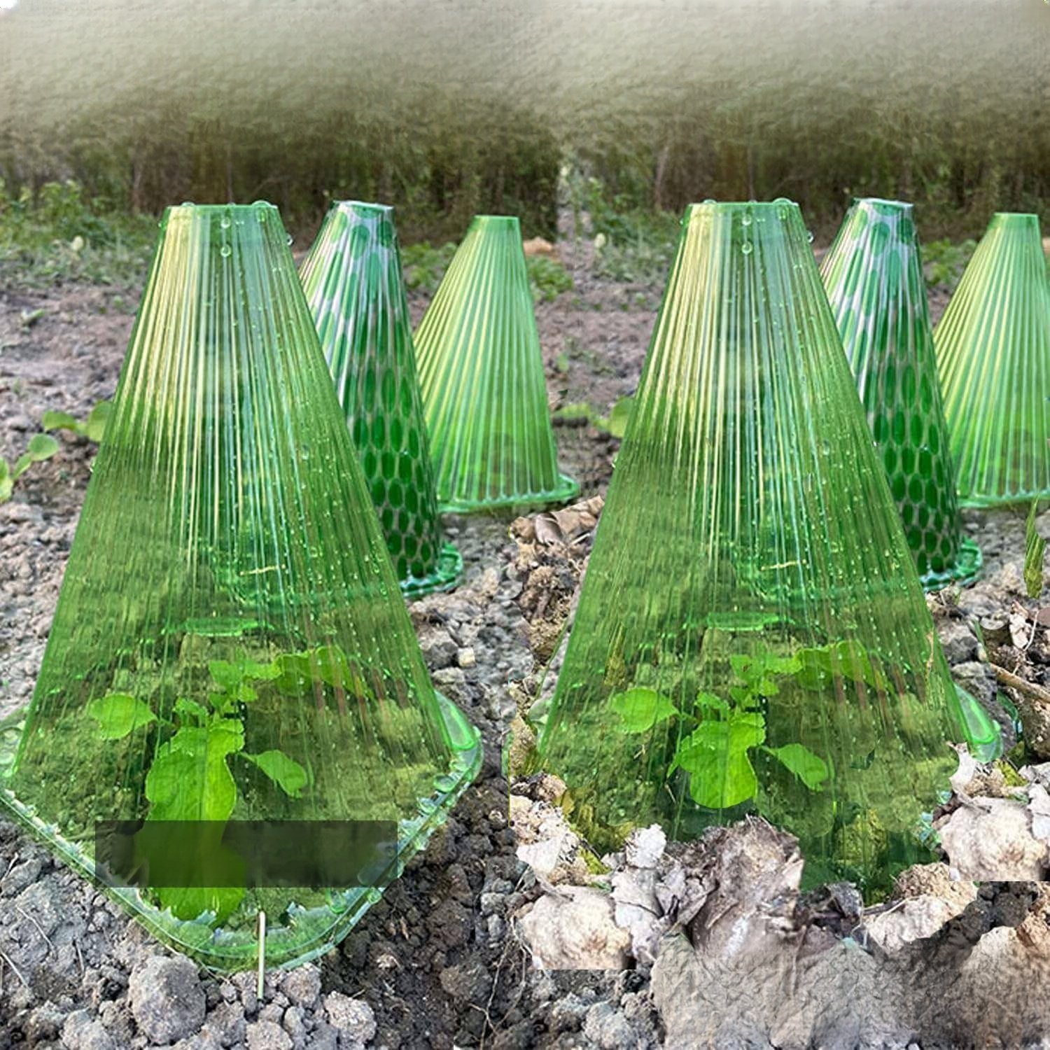 Quadratischer Pflanzenschutz für Grünpflanzen