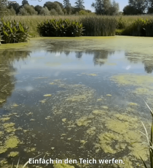Honeycam 2026-06-03 16-04-00.gif