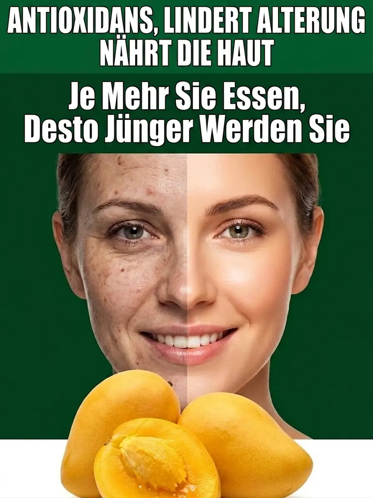 1-2 Jahre tragende gentechnikfreie Zwergmango-Veredelungssämlinge