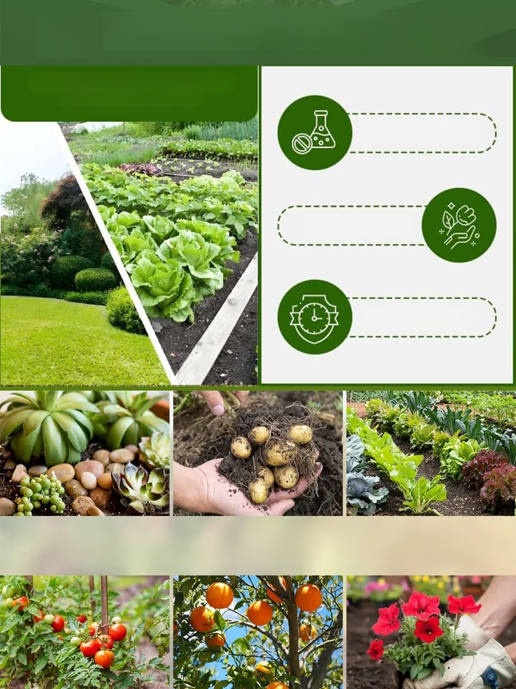 Stymulator wzrostu roślin