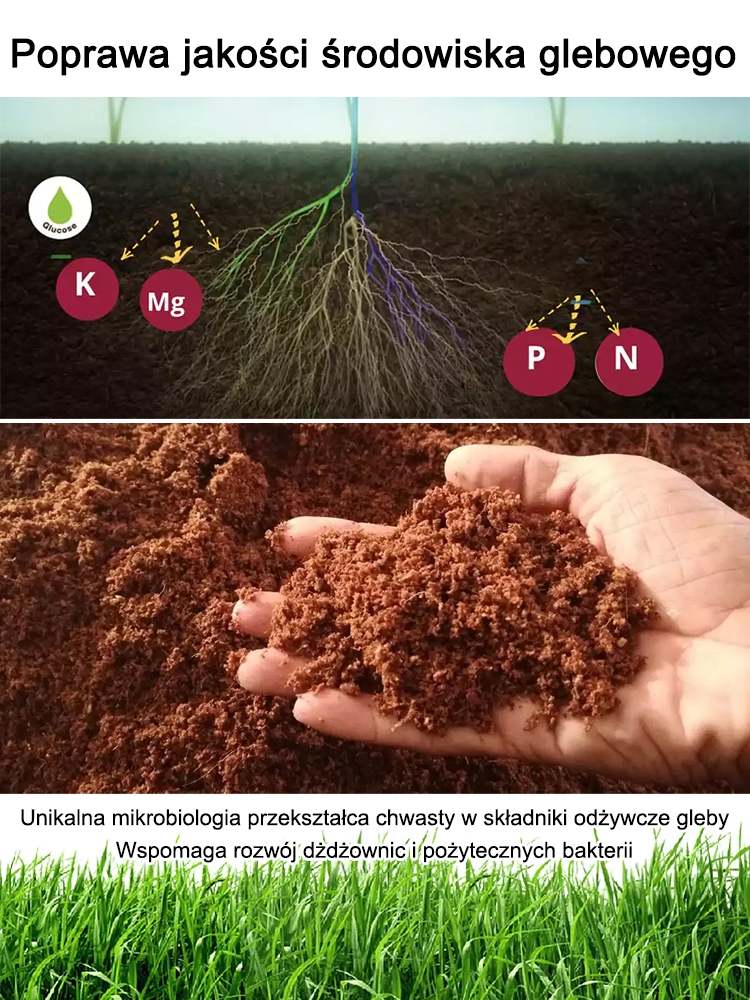 [100% bez glifosatu] Najlepszy profesjonalny koncentrat herbicydu: Skuteczny w 3 godziny. Zabija 108 rodzajów chwastów, 8 razy szybciej niż inne produkty!