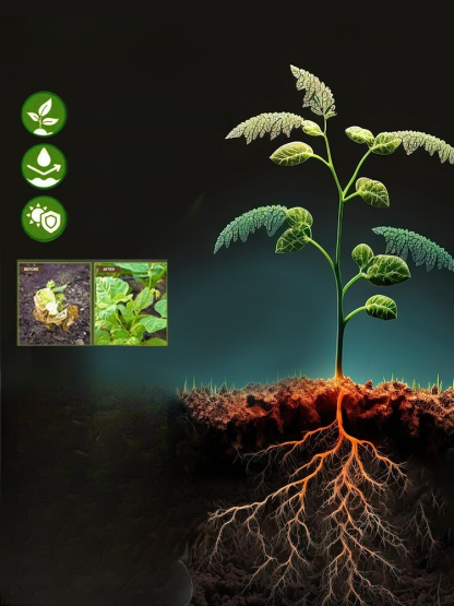 Stymulator wzrostu roślin