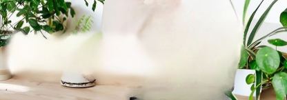 Stymulator wzrostu roślin