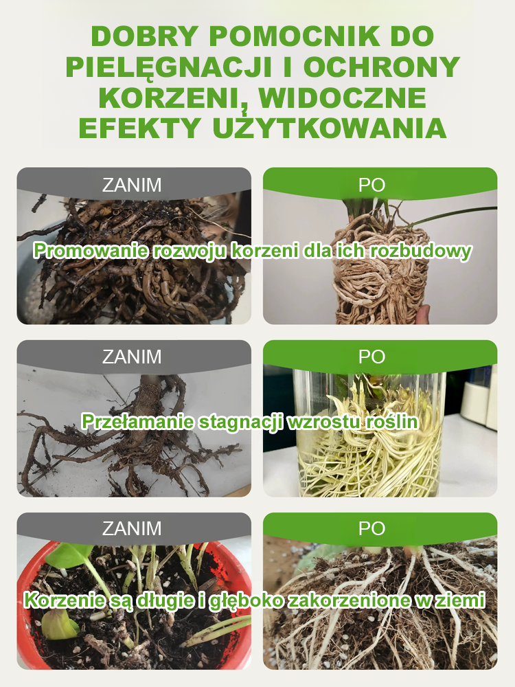 ✅Gwarantowana Jakość: Profesjonalna formuła z miarką w zestawie – prosto do Twojego ogrodu w Polsce 🛡️Nie patrz, jak Twoje rośliny umierają! Jedna miarka aktywuje życie w korzeniach ⚡Z tą technologią każda roślina zakorzeni się błyskawicznie 🌳