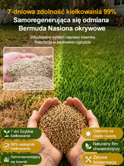 🌿 Wielka Wyprzedaż Sezonowa! Mieszanka Nasion Bermuda Premium — 99% Kiełkowania w 7 Dni, Certyfikat Niemieckiego Laboratorium! Samoregenerujący Trawnik Bez Chwastów i Kosztownych Architektów!