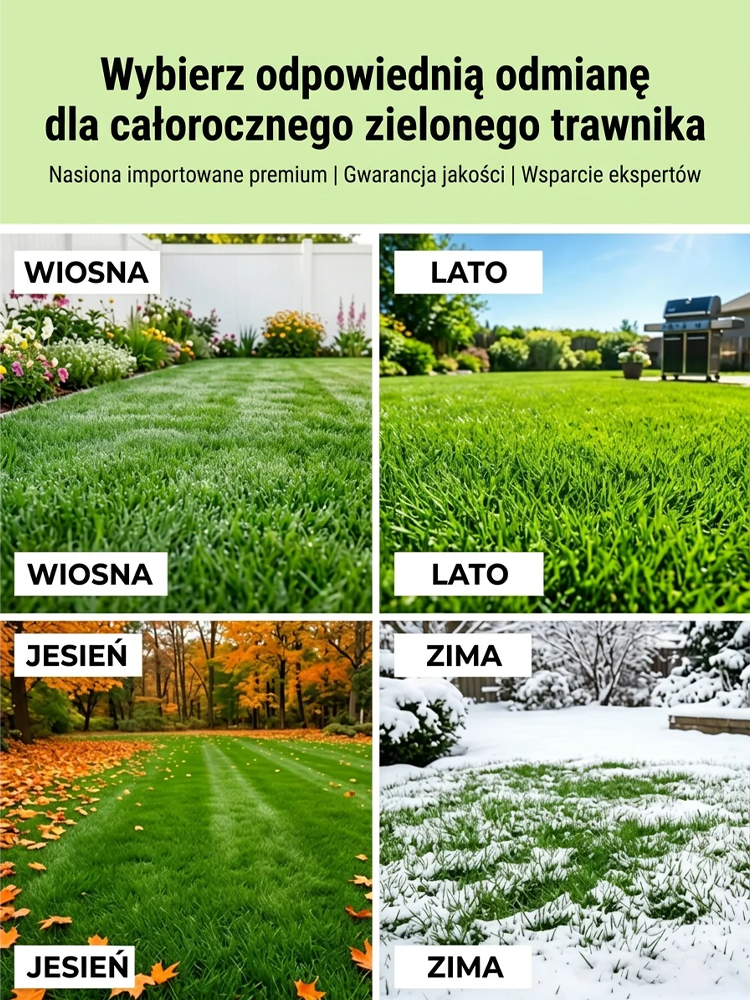 🌿 Wielka Wyprzedaż Sezonowa! Mieszanka Nasion Bermuda Premium — 99% Kiełkowania w 7 Dni, Certyfikat Niemieckiego Laboratorium! Samoregenerujący Trawnik Bez Chwastów i Kosztownych Architektów!