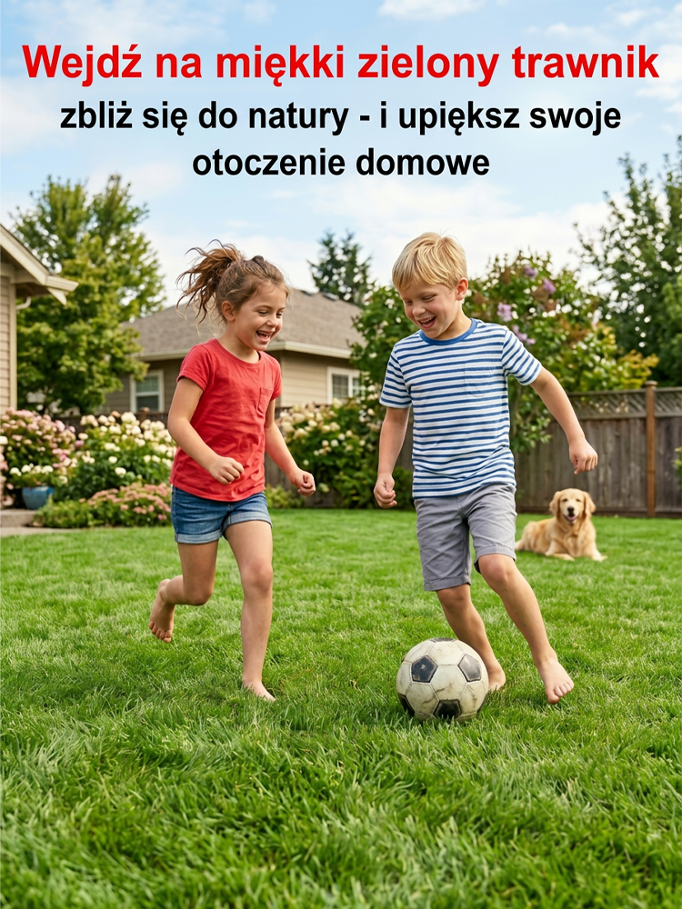 🌿 Wielka Wyprzedaż Sezonowa! Mieszanka Nasion Bermuda Premium — 99% Kiełkowania w 7 Dni, Certyfikat Niemieckiego Laboratorium! Samoregenerujący Trawnik Bez Chwastów i Kosztownych Architektów!