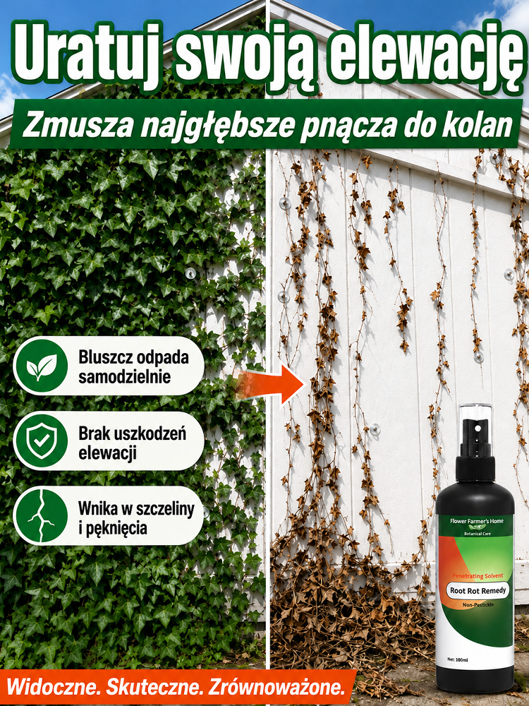 🌿 Przedłużona Wyprzedaż! Root Rot Remedy 100ml — Niszczyciel Root & Chwastów z Certyfikatem TÜV Eco-Safe! Precyzyjne Usuwanie Bez Uszkadzania Kwiatów i Mury!